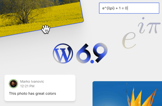 WordPress 诞生于2003年